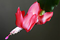 2003 Photos